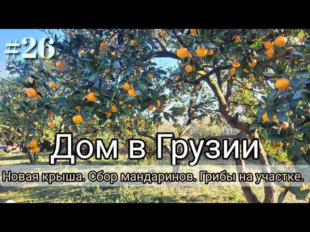 #26 Дом в Грузии. Новая крыша