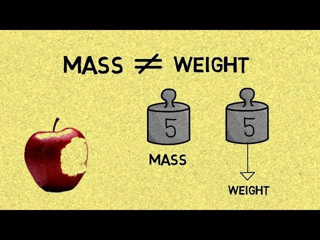 The Difference Between Mass & Weight