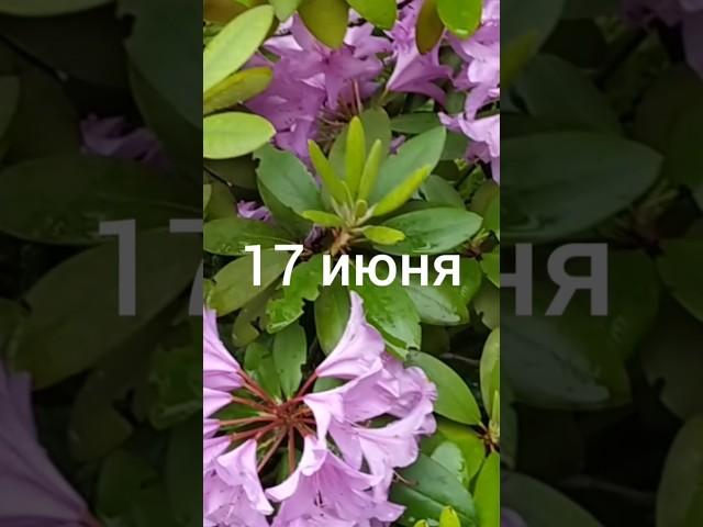 Народный календарь для малышей #shorts #мир#лето#праздник#история#культура#природа #приметы#жизнь