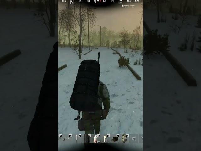 как часто вы попадали в такой момент? #dayz #выживание #moments #stream #shorts