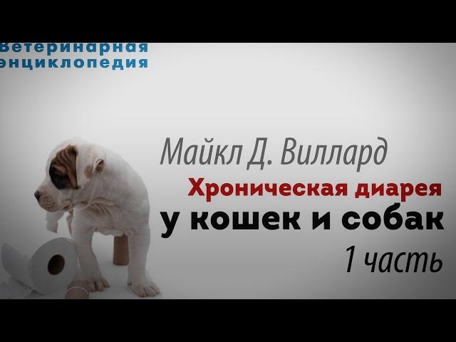 Хроническая диарея у кошек и собак.  1 часть