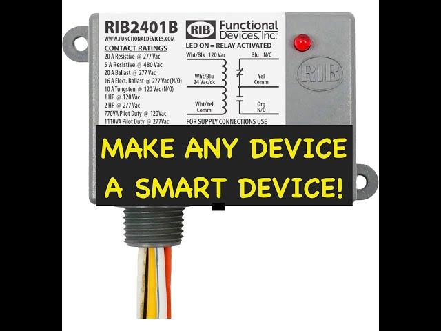 Functional Devices Relay In A Box (RIB2401B)