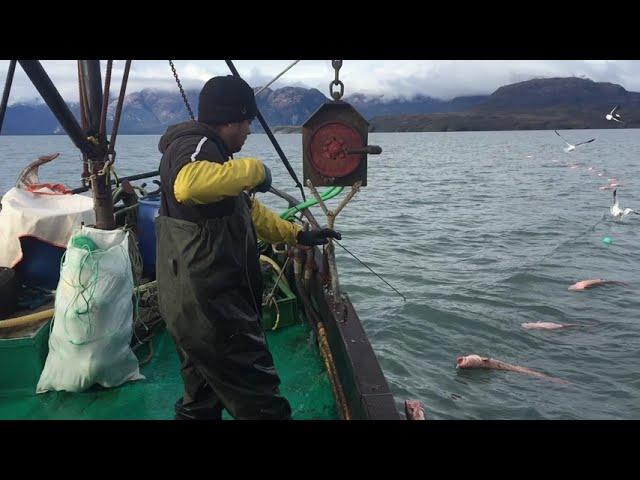 PESCA DE CONGRIOS EN LA XII REGION