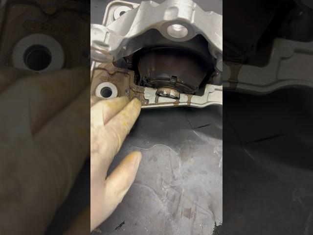 Engine Mount Leaking Oil #oil #car #leaks #shorts