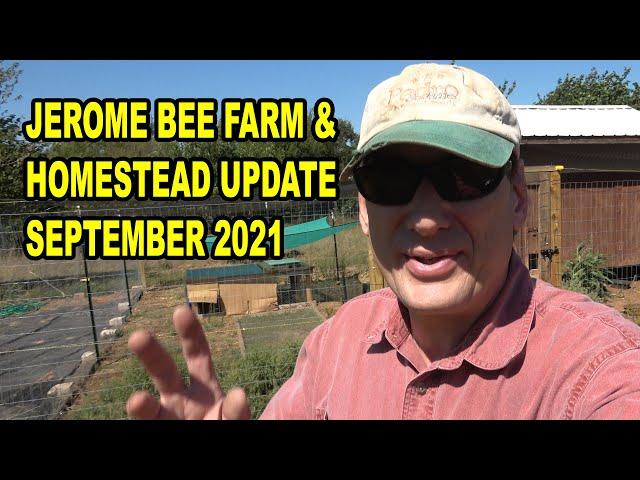 September 2021 Update S5E73 #beekeeping #homesteading