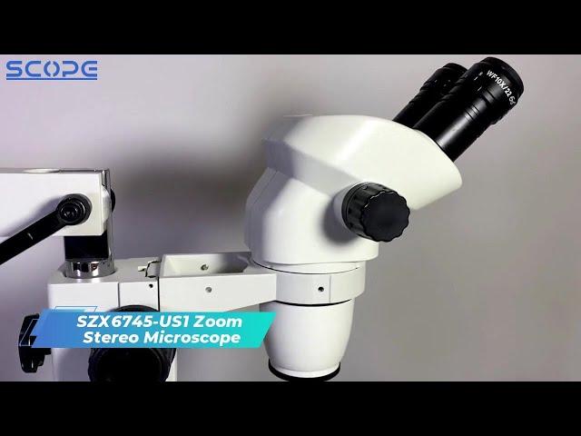 Single Universal Stand Stereo Microscope SZX6745-US1 Binocular Model