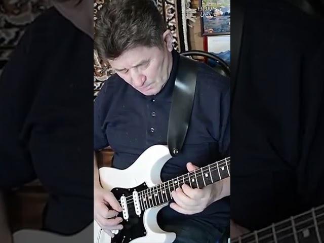 Pink Floyd-Another Brick In #guitarcover