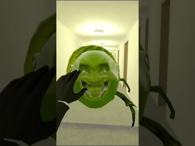 Angry Munci saved me from Lin gang melon! P2 #meme #gmod