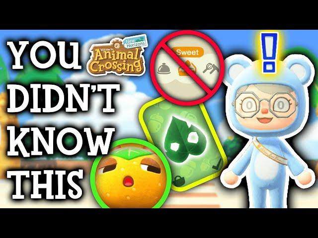 20 Random Animal Crossing Facts You Probably Didn't Know!