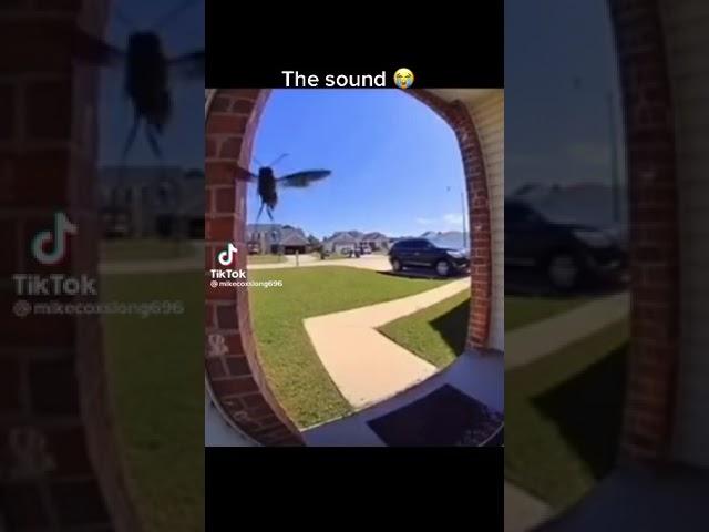 Smart fly