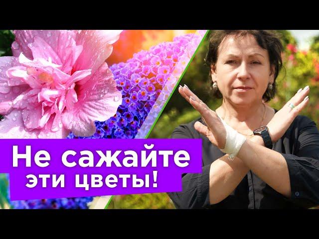 КРАСИВЕЙШИЕ ЦВЕТЫ, КОТОРЫЕ Я НИКОГДА НЕ ПОСАЖУ, и вам не рекомендую!