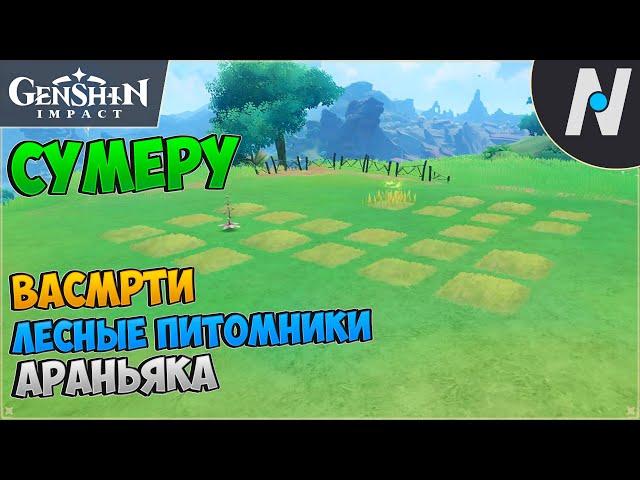 Васмрти. Лесные питомники | Genshin Impact