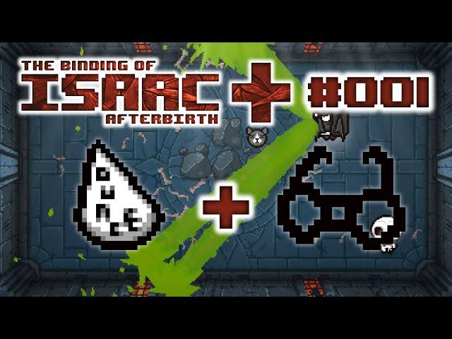 Double Wizard - The Binding of Isaac Afterbirth+ Random Runs - #001