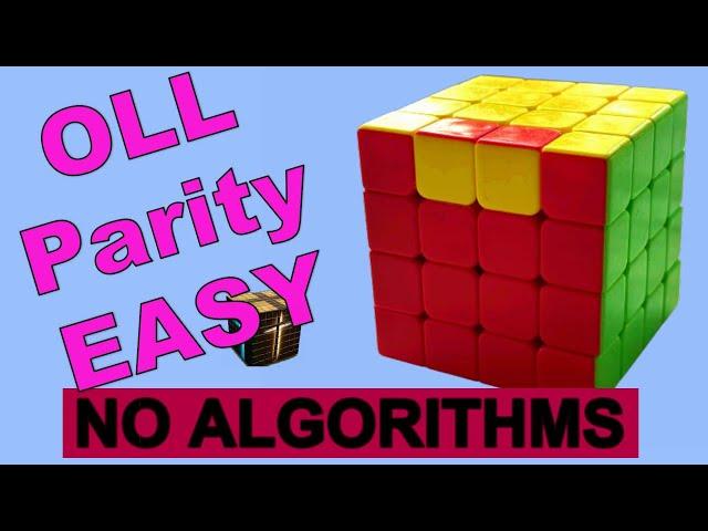 4x4 Rubiks Cube OLL Parity NO ALGORITHMS Fix the Last Layer Flipped Edges EASY Version