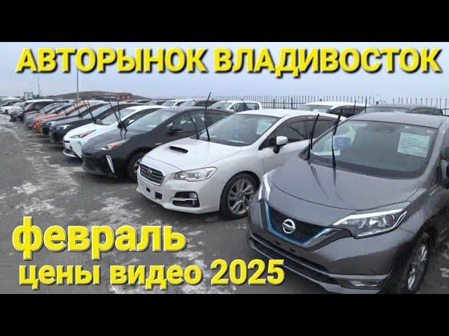 АВТОРЫНОК ВЛАДИВОСТОК 2025, ЗЕЛЁНЫЙ УГОЛ, ЦЕНЫ ВИДЕО СЕГОДНЯ