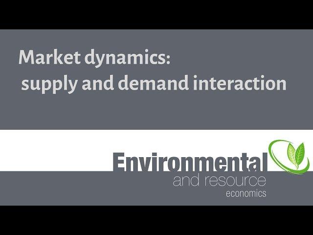 Market dynamics: supply and demand interaction