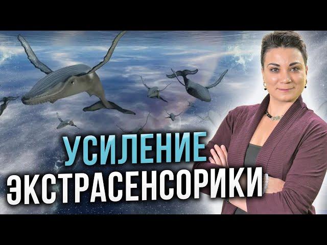 Вы можете видеть осознанные СНЫ! Камень, который даёт ответы на вопросы…