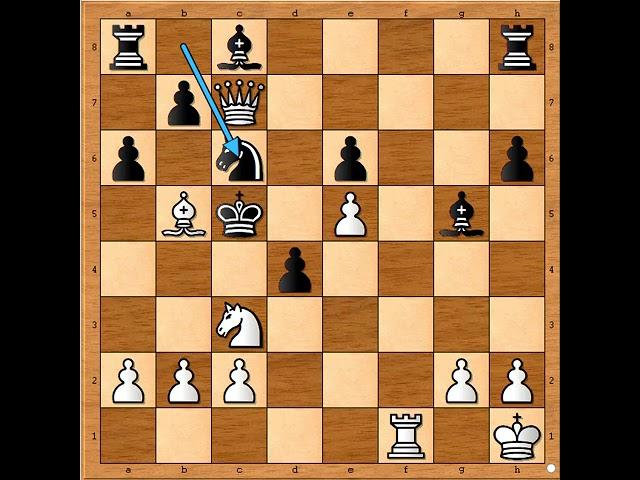 Magija šahoskog napada uz neverovatne žrtve (analiza tri partije )    SPASSKY vs PILNIK # 2544
