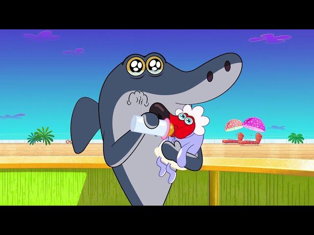 Zig & Sharko  NEW SEASON 3 EPISODES in HD - Daddy Sharko and Baby Zig !