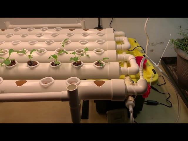 VIVOSUN Hydroponics Growing System 54 plants (Amazon)