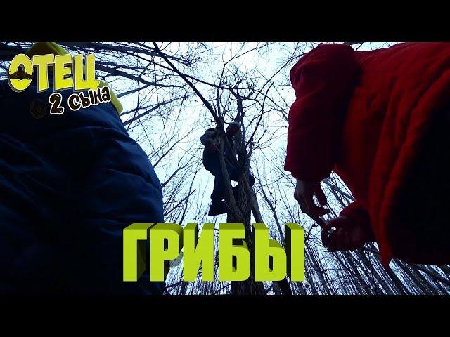 ГРИБЫ! #Отец2Сына  (Выпуск 62)