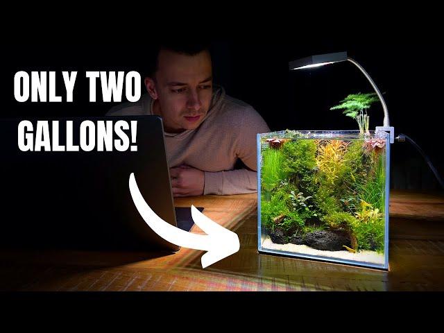 I Made a Mini DESK AQUARIUM Without a Filter! (Aquascape Tutorial)