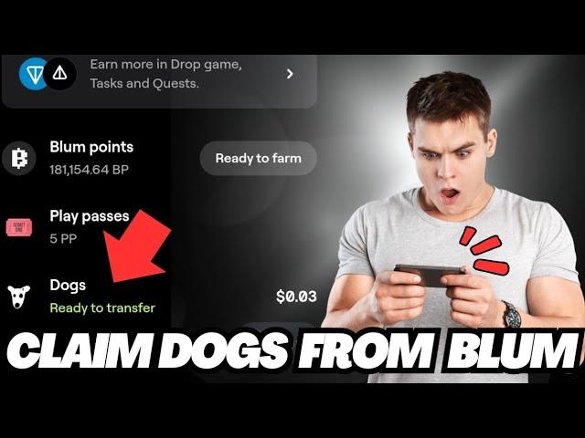 How To Claim Dogs Tokens From Blum