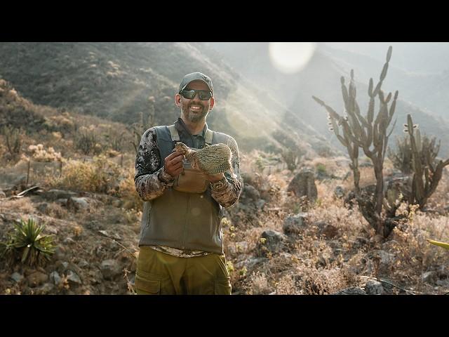 South America Upland Slam - Peru |  Mark V. Peterson Hunting