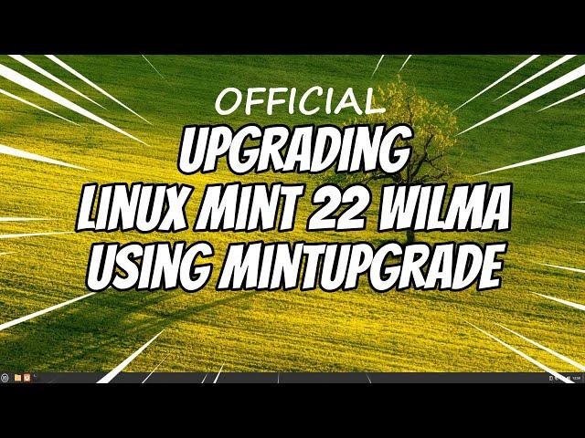 How to Upgrade to Linux Mint 22 Wilma using MintUpgrade Tool [Official Method] | Mint 21.3 to 22