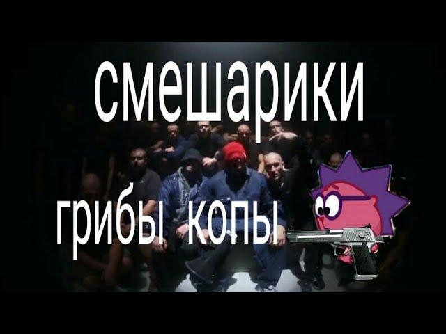 Смешарики || Грибы копы