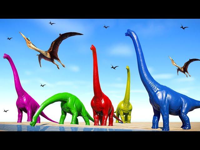 NEW ! Dinosaur Brachiosaurus Colors vs Big Dinosaurs Tyrannosaurus Rex Fighting  T-Rex  vs I-Rex