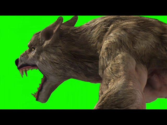 Wolf Monster Green screen effect running