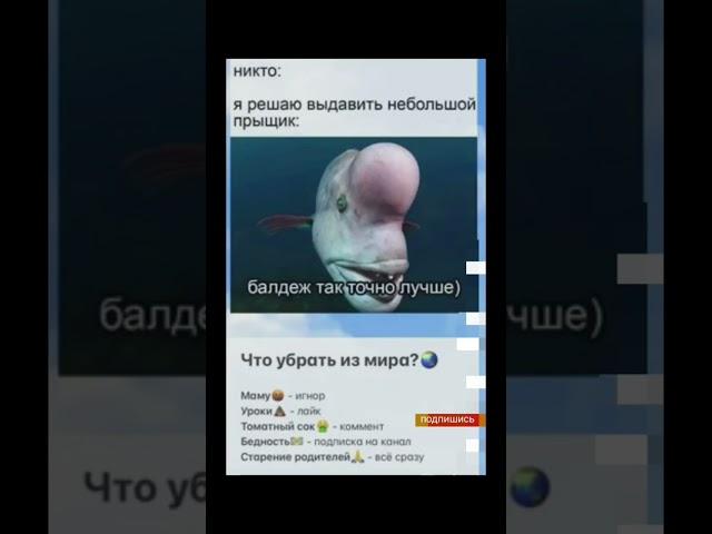 #tiktok #подпишись #video #актив #рек #рекомендации #смех #рофл #shorts #смешно #прикол #short