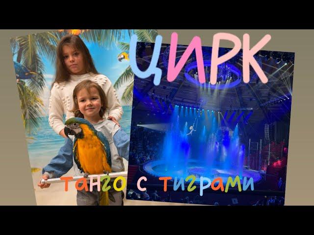 Танго с амурскими тиграми! tango con tigres!