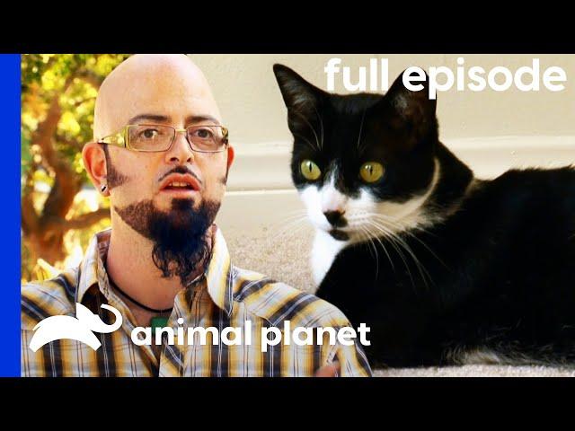 Fifi's Ruining My Love Life! | My Cat From Hell (Full Episode)