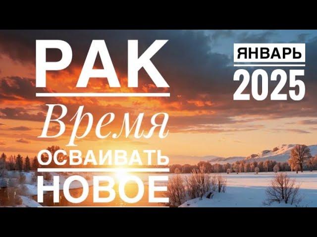 Рак ️ Январь 2025 года ️️Таро прогноз