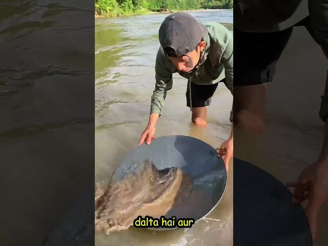 Find Gold in Beach Sand Without Metal Detector! #Shorts