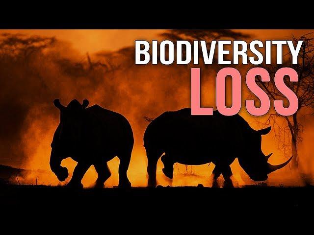 Biodiversity Loss - A Documentary