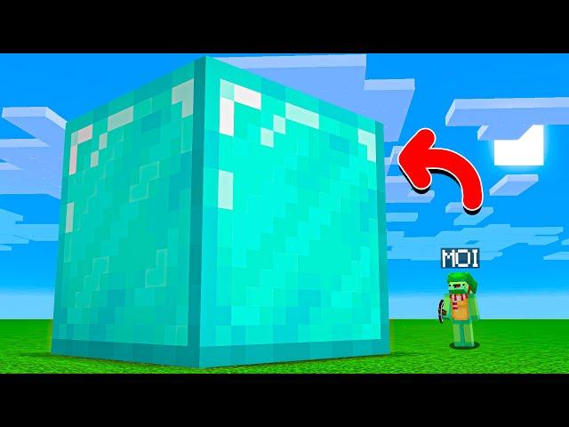 Je dois finir Minecraft mais les blocs sont GÉANT..