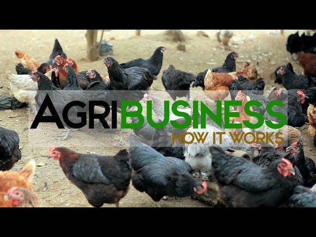 Agribusiness Philippines