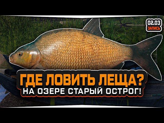 Где клюет ЛЕЩ на озере Старый Острог? • Русская Рыбалка 4