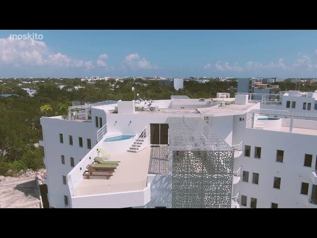 Moskito Real Estate: Starlight in Playa del Carmen