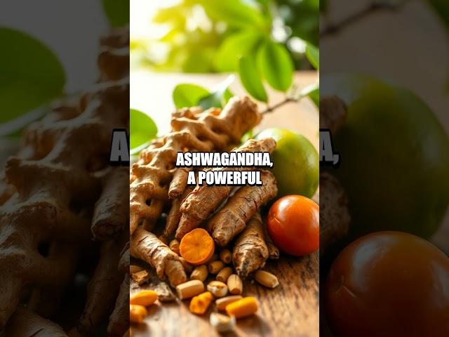 Healthy Aging Through Time: Ancient Indian Herbal Remedies