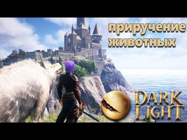 Dark and Light - приручение животных