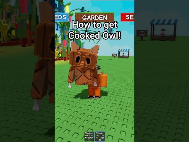 How To Get A Cooked Owl In New Grow A Garden Update! 