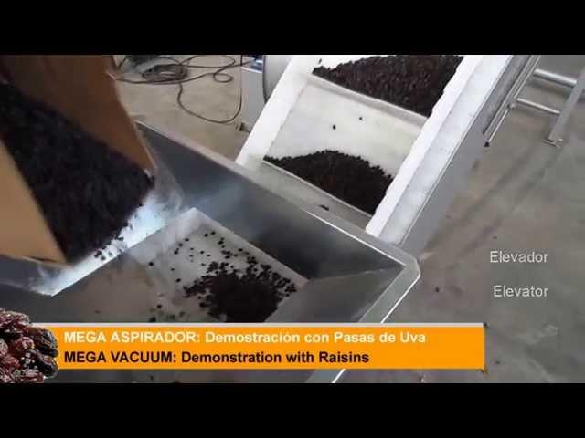 ALBION - Mega Vacuum with Raisins - Mega Aspirador con Pasas de Uva