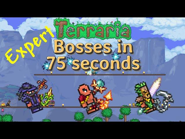 Terraria Summoner, but I have 75 seconds to take down a boss (Expert Mode)