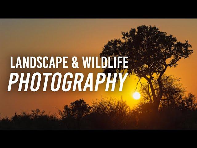 Intro Photography Tips | Landscapes & Wildlife