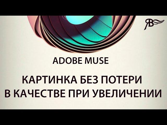 Картинка без потери в качестве при увеличении Adobe Muse