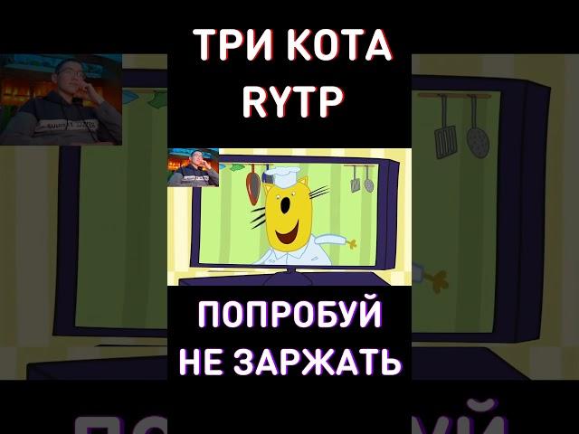 Кулинарное шош RYTP Три Кота